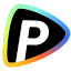 Pollo AI 官方网站 logo